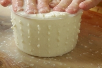 Beginner cheese making