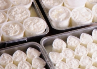 Beginner cheese making